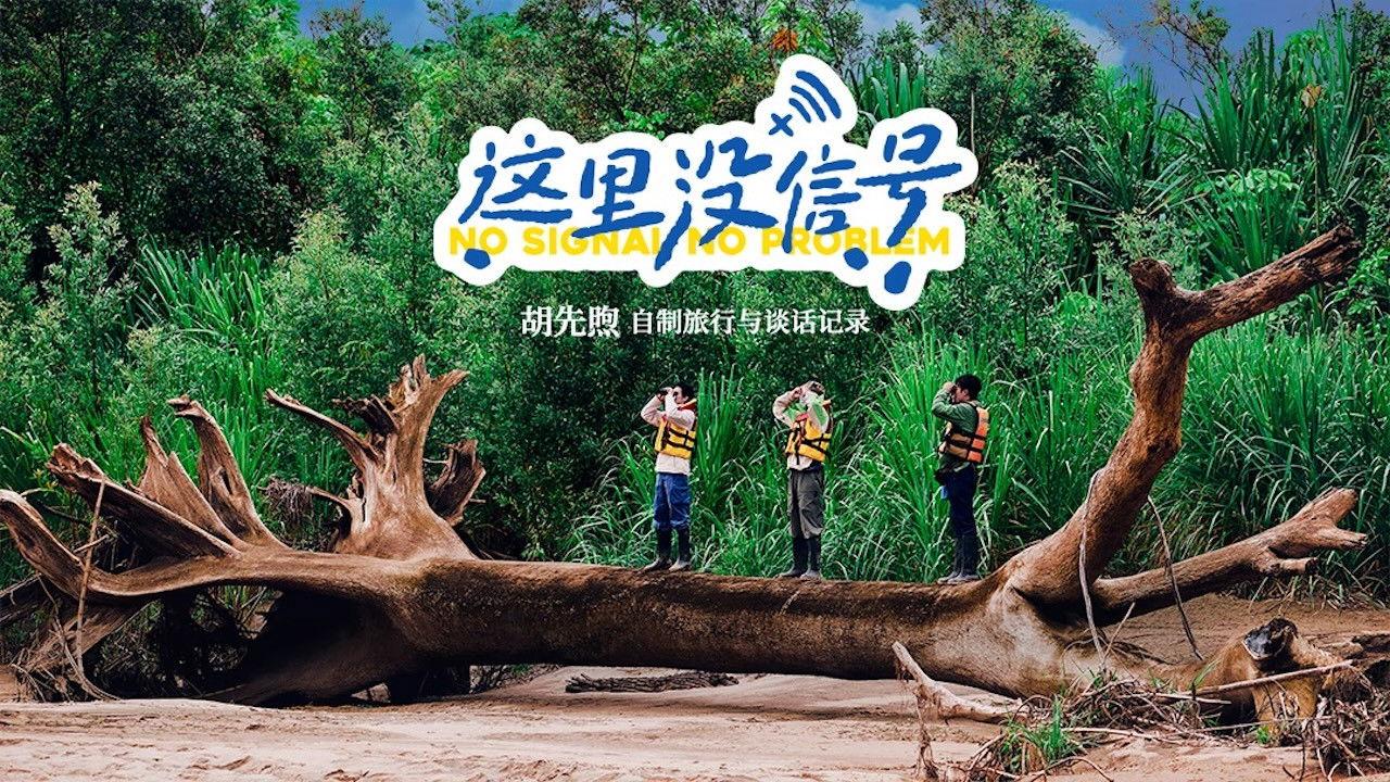 No Signal, No Problem backdrop