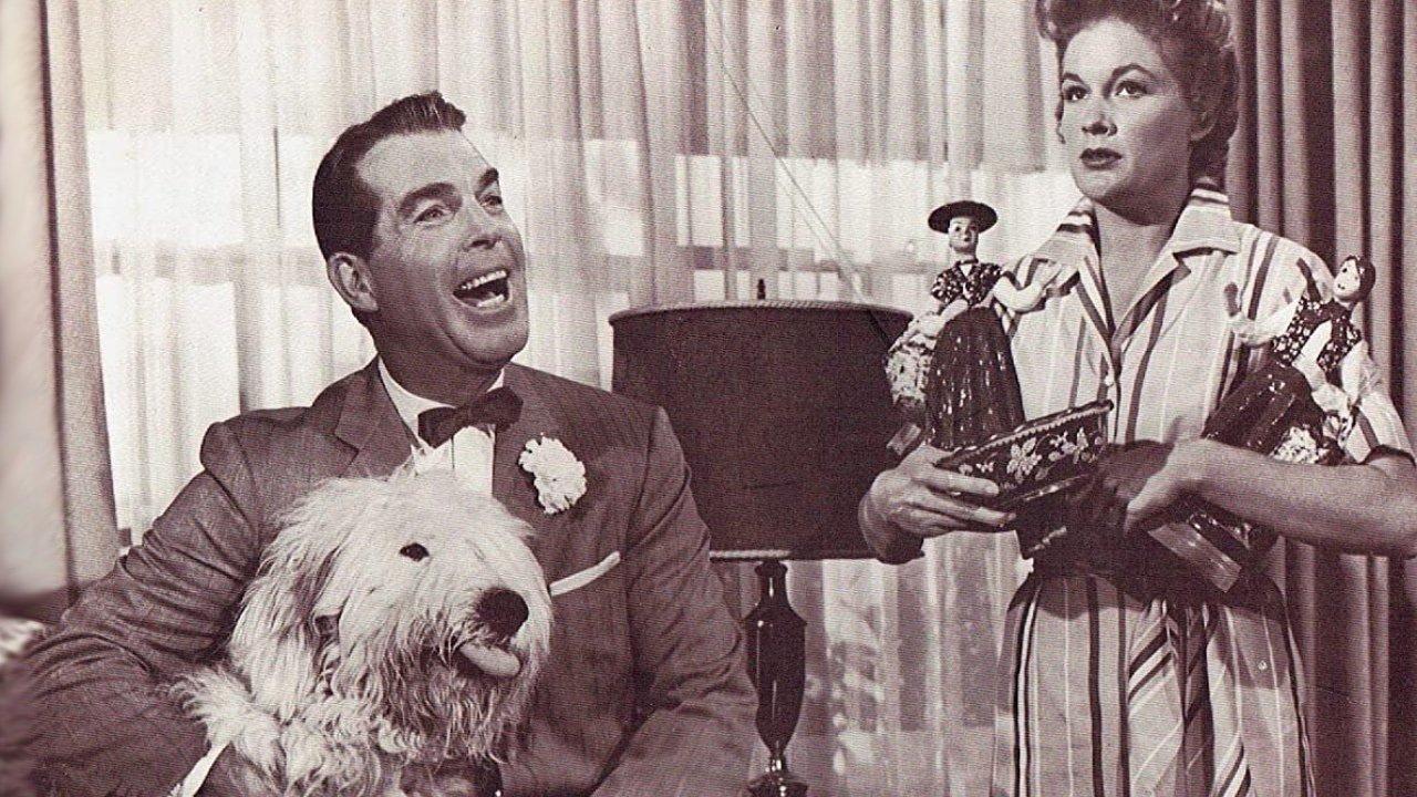 The Shaggy Dog Collection backdrop