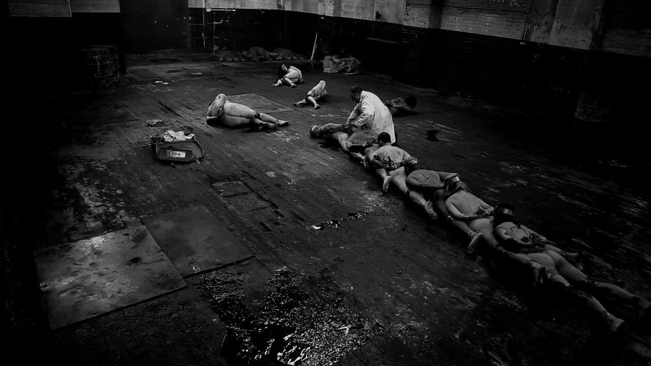 The Human Centipede Collection backdrop