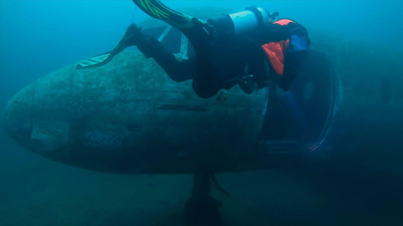 Irreplaceable Memories