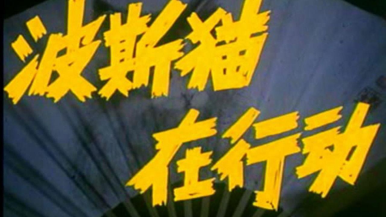 Persian Cat Is on Action backdrop