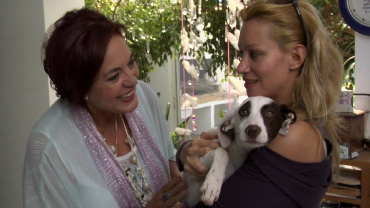 Under Your Make-up backdrop