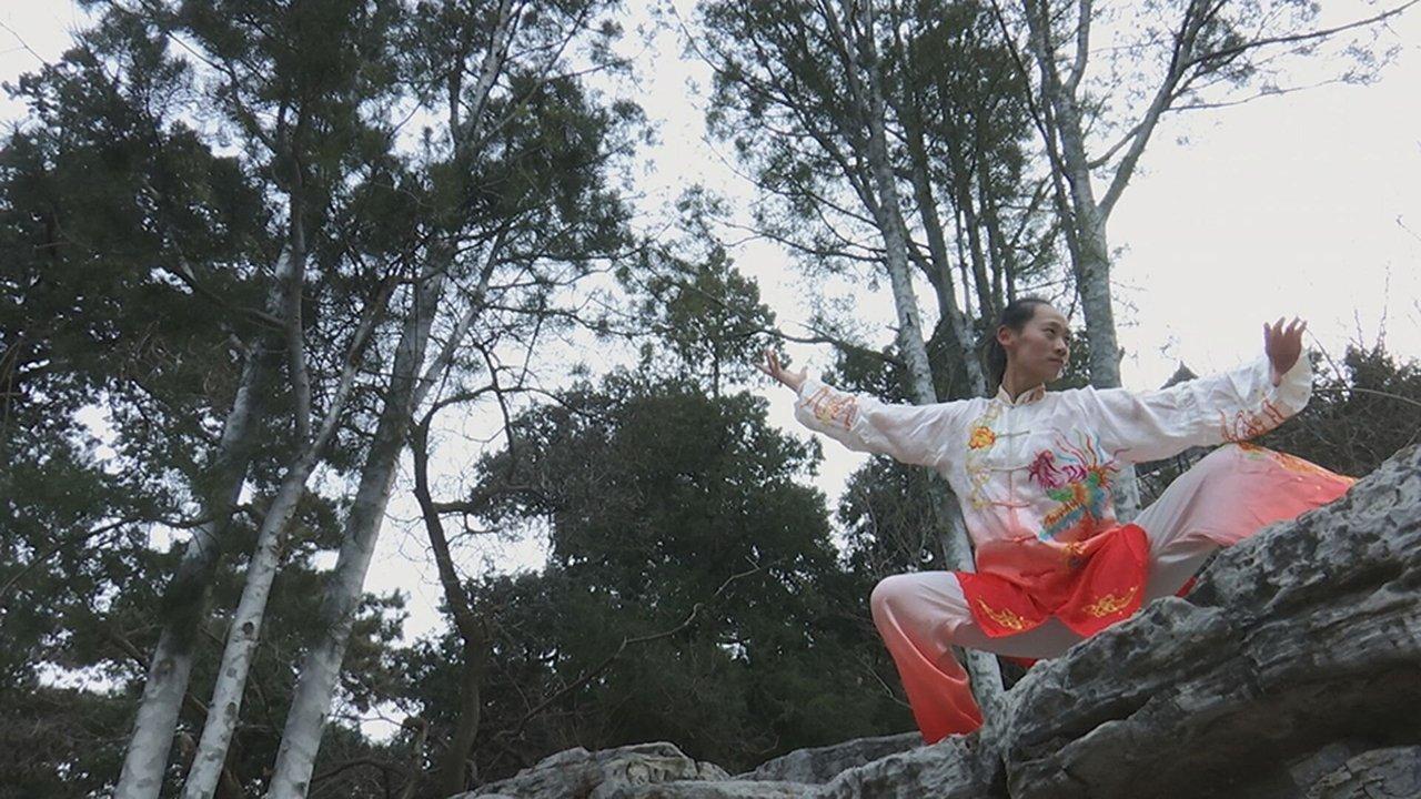 Kung fu Révolution(s) backdrop