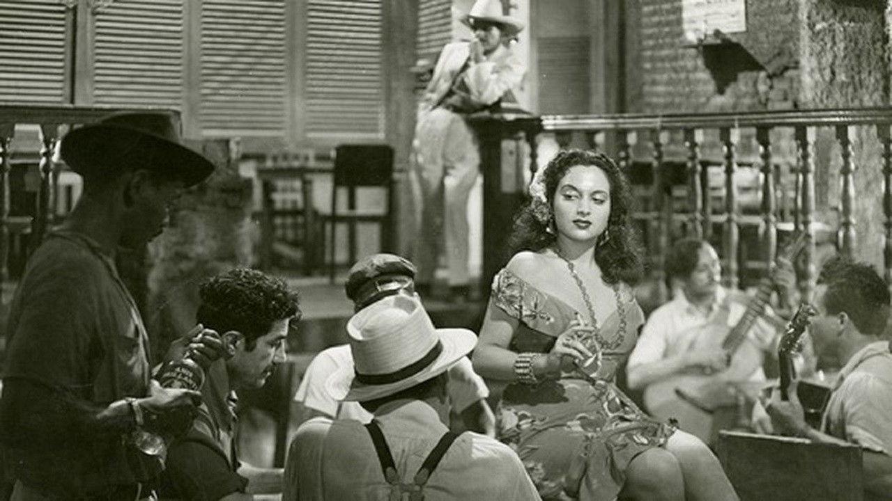 The Yacht Isabel Arrived This Afternoon backdrop