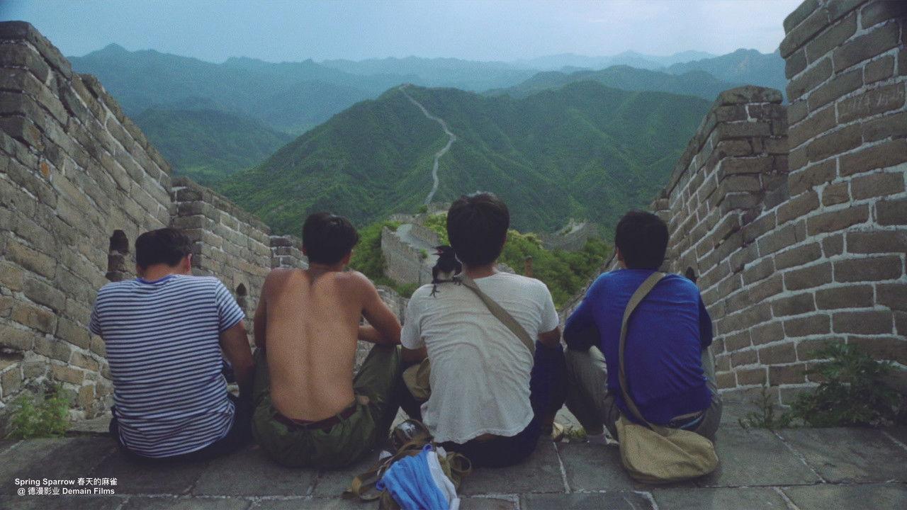 Spring Sparrow backdrop