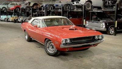 Elephant In The Room