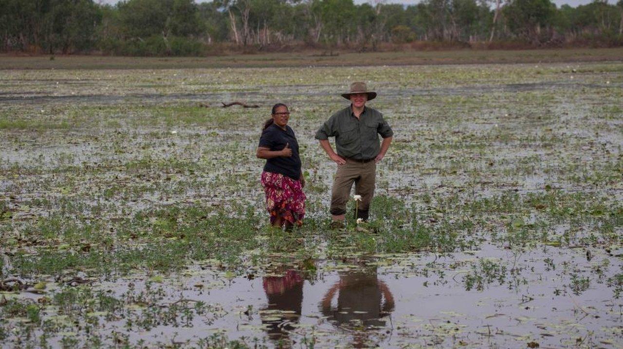 Kakadu Wetlands