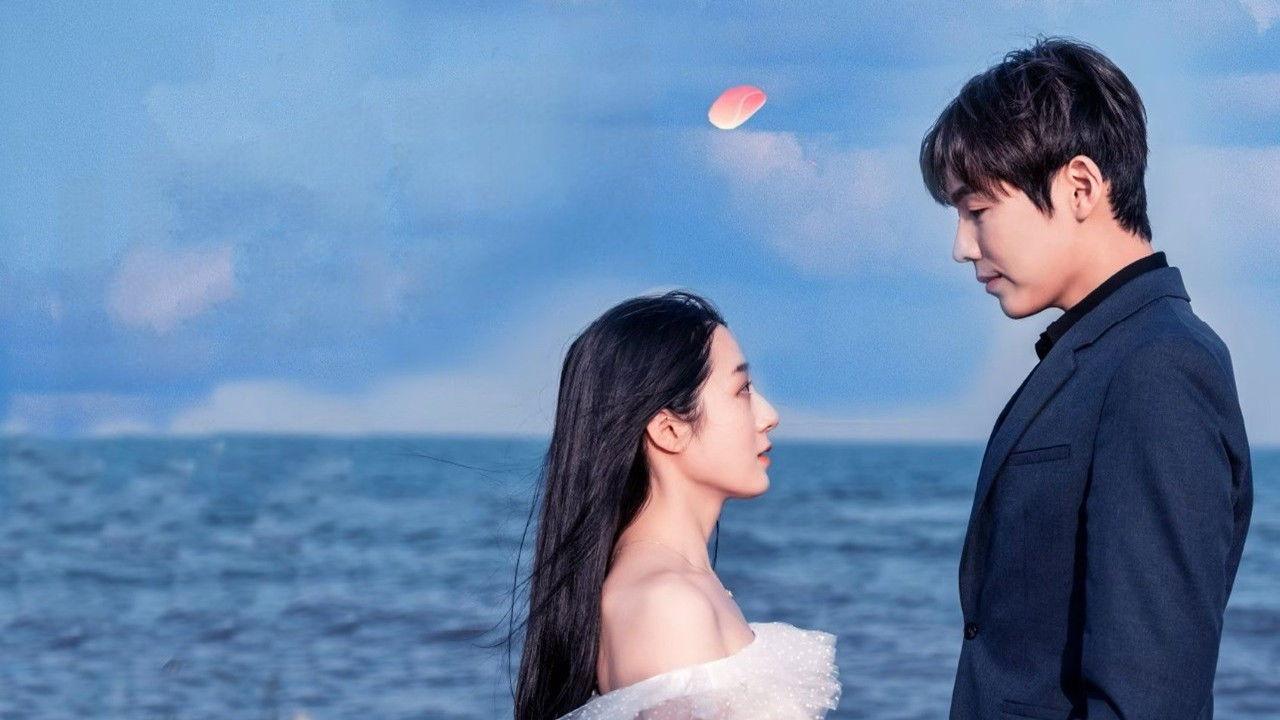 Love You Day and Month backdrop