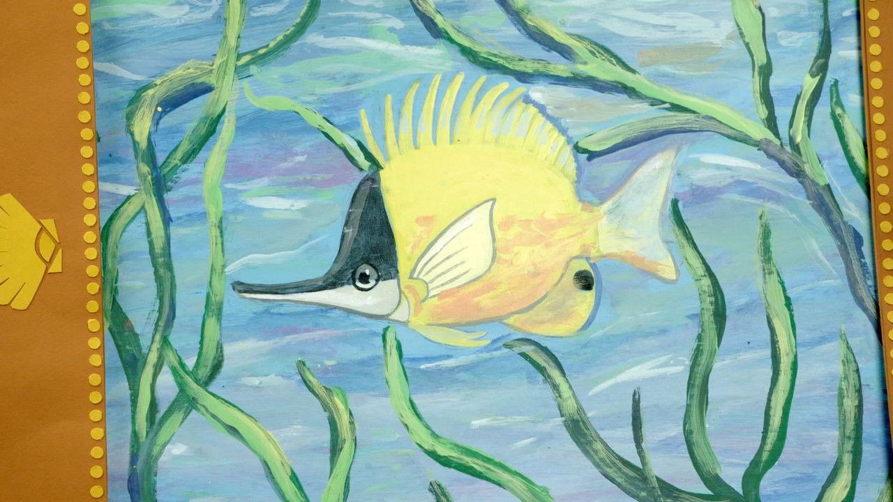 Behind the Scenes: Coral Reef Episode from “Weird But True!”