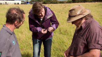 Brancaster - Brancaster, Norfolk