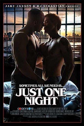 Just One Night film afişi