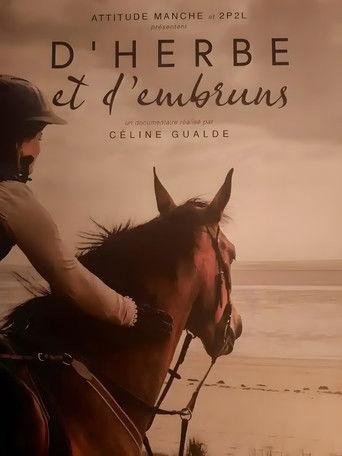 D'herbe et d'embruns film afişi