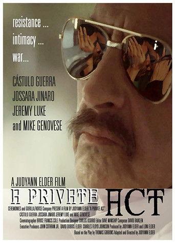 A Private Act film afişi