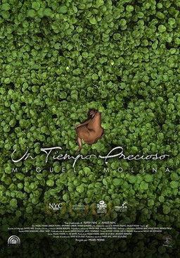 Un tiempo precioso film afişi
