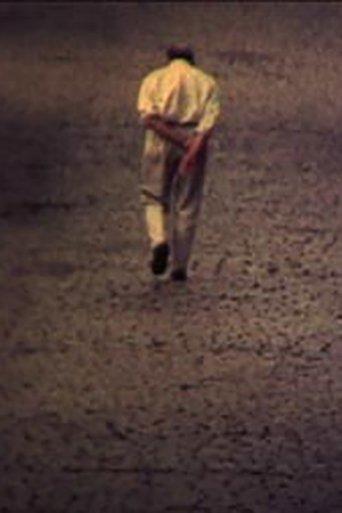 Accident film afişi