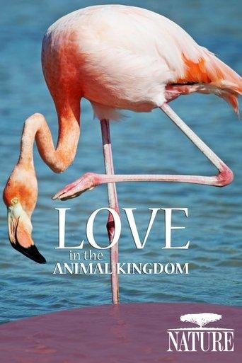 Nature: Love in the Animal Kingdom film afişi