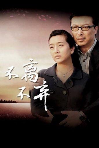 不离不弃 dizi afişi
