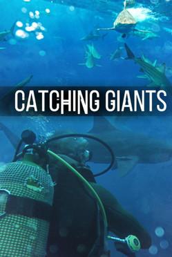 Catching Giants: Zambezi Shark film afişi