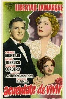 Remember to Live film afişi