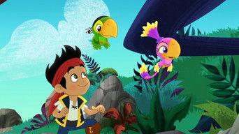 Birds of a Feather / Treasure Show and Tell!