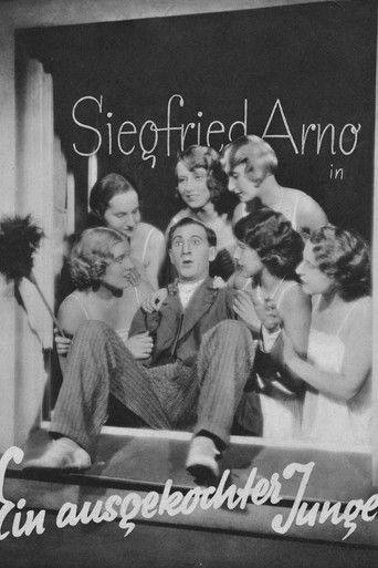 Ein ausgekochter Junge film afişi