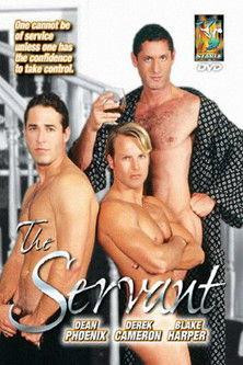 The Servant film afişi