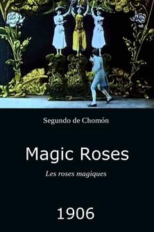 Magic Roses film afişi