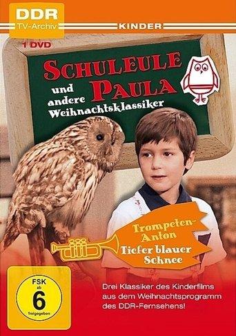 The Owl Paula film afişi