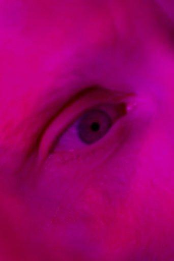 Endliche Erinnerungen film afişi