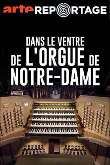 Dans le ventre de l'orgue de Notre-Dame film afişi