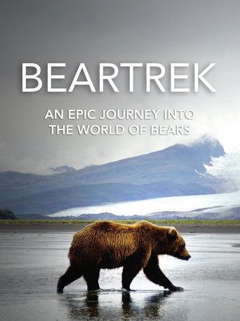 Beartrek film afişi
