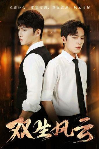 双生风云 dizi afişi