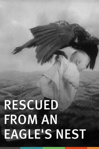 Rescued from an Eagle's Nest film afişi