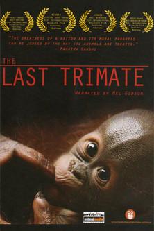 The Last Trimate film afişi