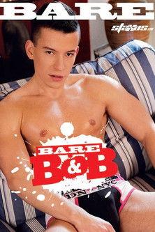 Bare B&B film afişi