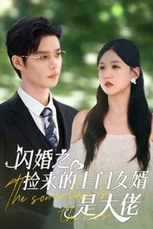 The Son-in-Law Is the Boss dizi afişi