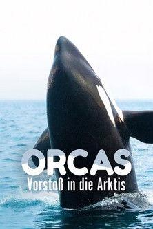 Orcas - Vorstoss in die Arktis film afişi