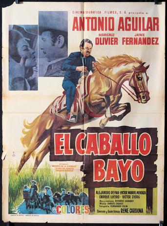 El Caballo Bayo film afişi