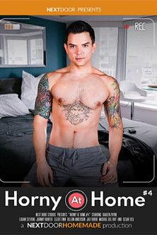 Horny at Home 4 film afişi