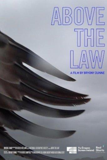 Above the Law film afişi