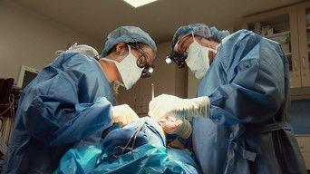 This Little Piggy...