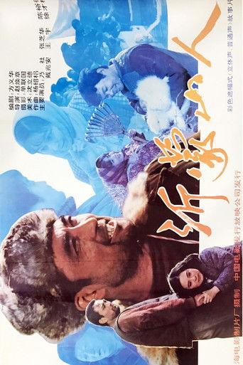 沂蒙山人 film afişi