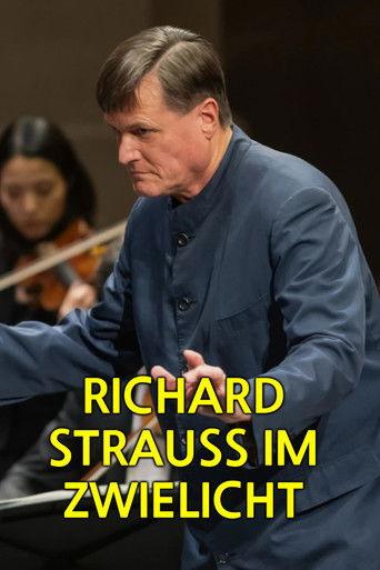 Richard Strauss im Zwielicht film afişi
