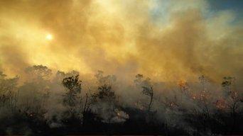 One evolutionary step beyond