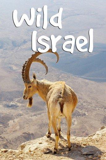 Wild Israel dizi afişi