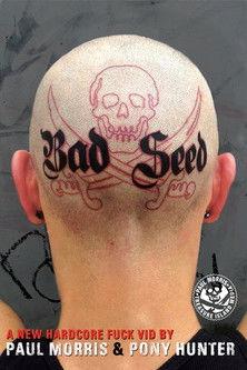 Bad Seed film afişi