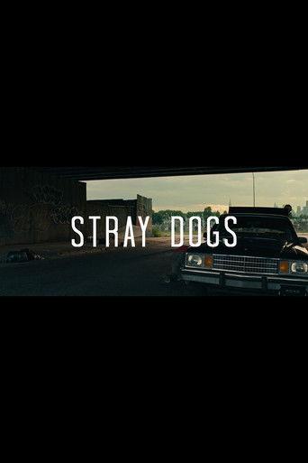 Stray Dogs film afişi