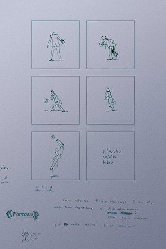 irlande cahier bleu film afişi