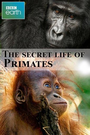 The secret life of Primates film afişi