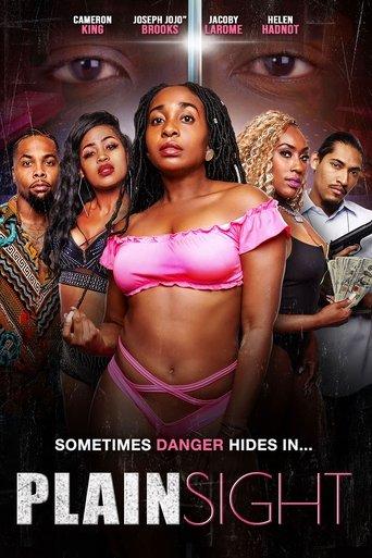 Plain Sight film afişi